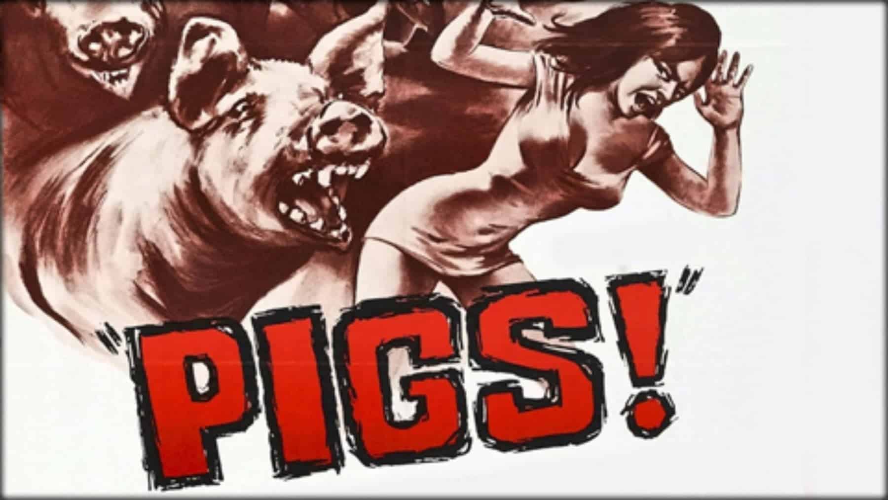 Pigs
